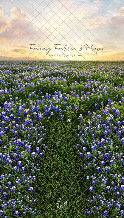 Blue Bonnet Sunrise - With Sweep Option