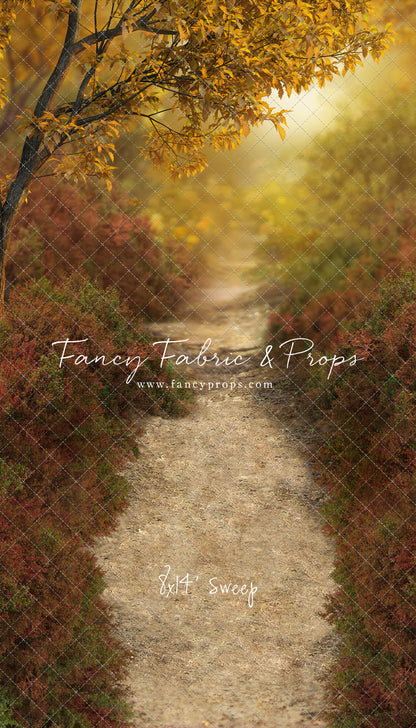 Dreamy Evening Path - With Sweep Option