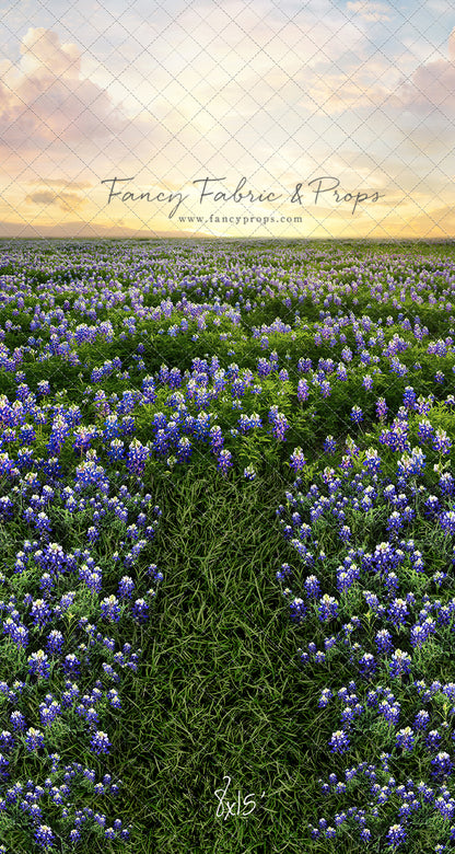 Blue Bonnet Sunrise - With Sweep Option