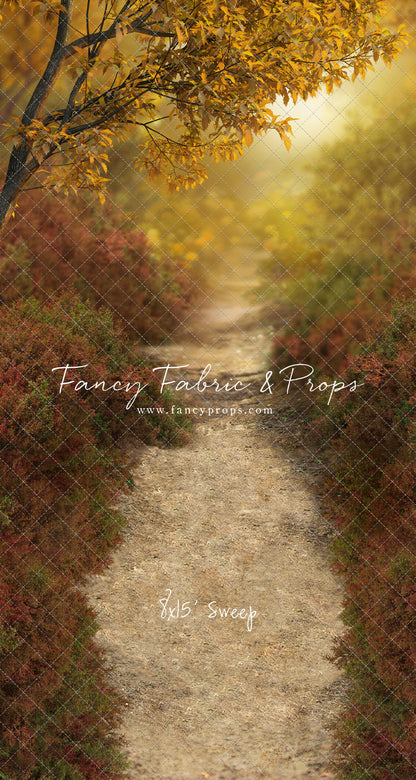 Dreamy Evening Path - With Sweep Option