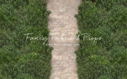 Spring Garden Pathway Mat Floor