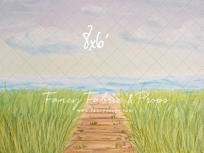 Beachfront Boardwalk