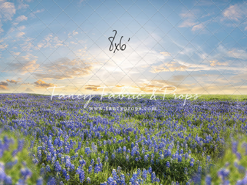 Blue Bonnet Afternoon