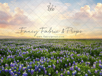 Blue Bonnet Sunrise 2pc Set