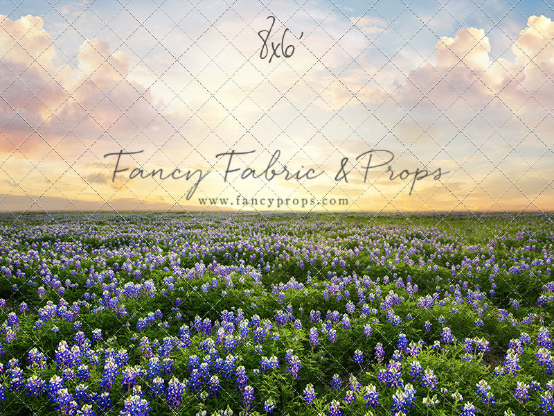 Blue Bonnet Sunrise - With Sweep Option
