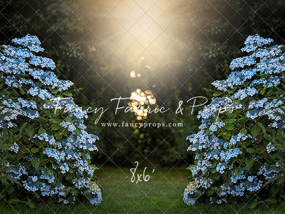 Blue Hydrangea Hideaway