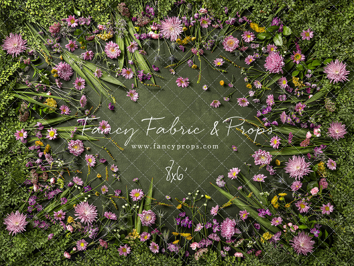 Chrysanthemum Blooms