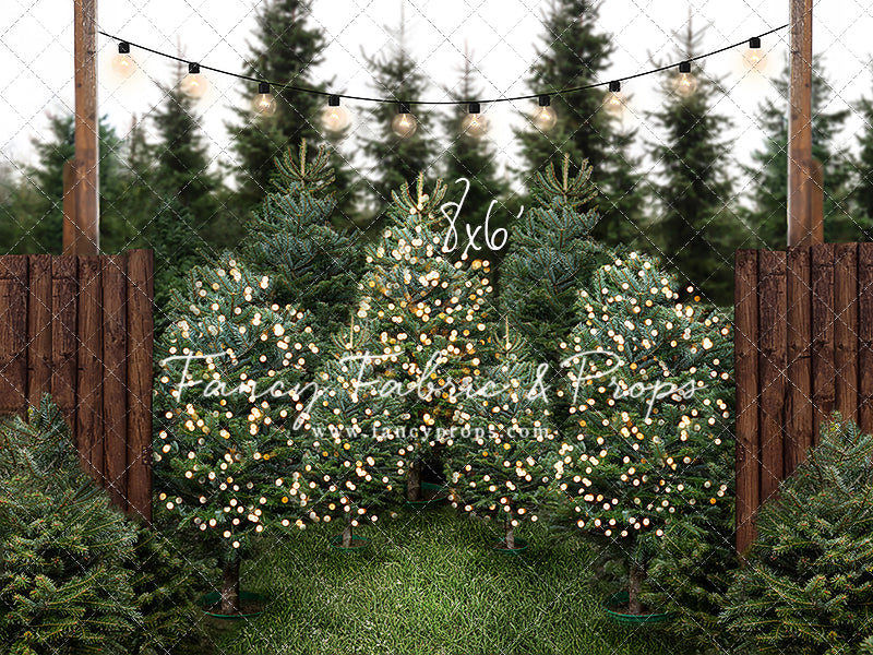 Cut & Carry Tree Farm