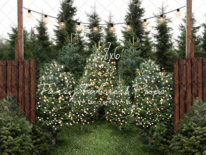 Cut & Carry Tree Farm