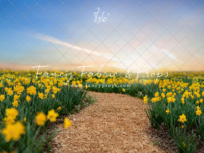 Daffodil Path