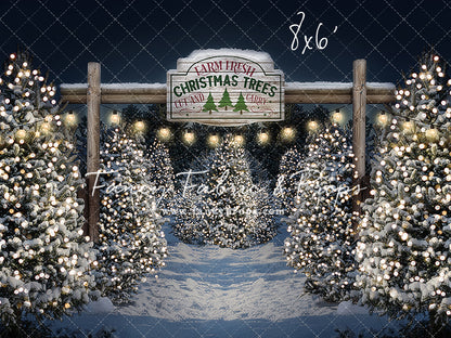 Evening Snowy Tree Farm Entrance