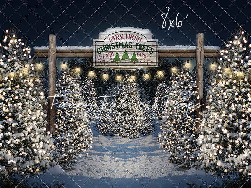 Evening Snowy Tree Farm Mini Room