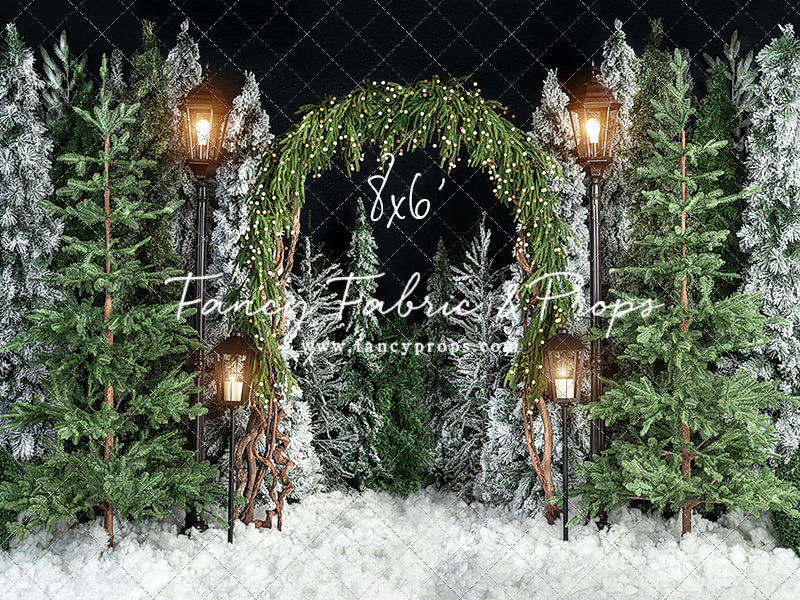 Evening Tree Farm Stroll