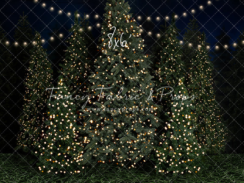 Evening At The Tree Farm