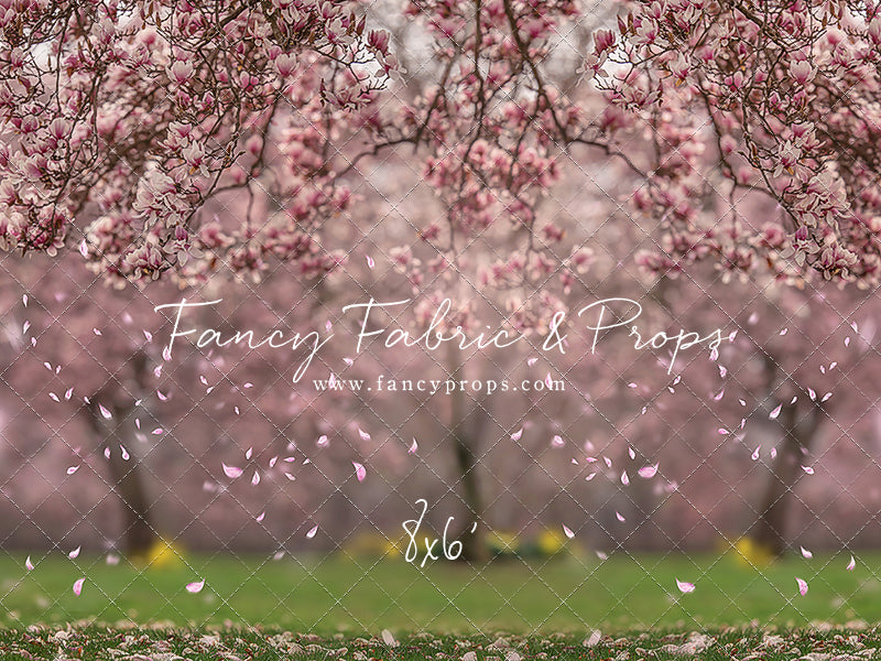 Falling Magnolias