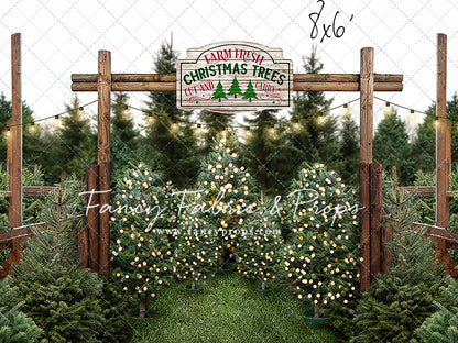 Cut & Carry Tree Farm Mini Room