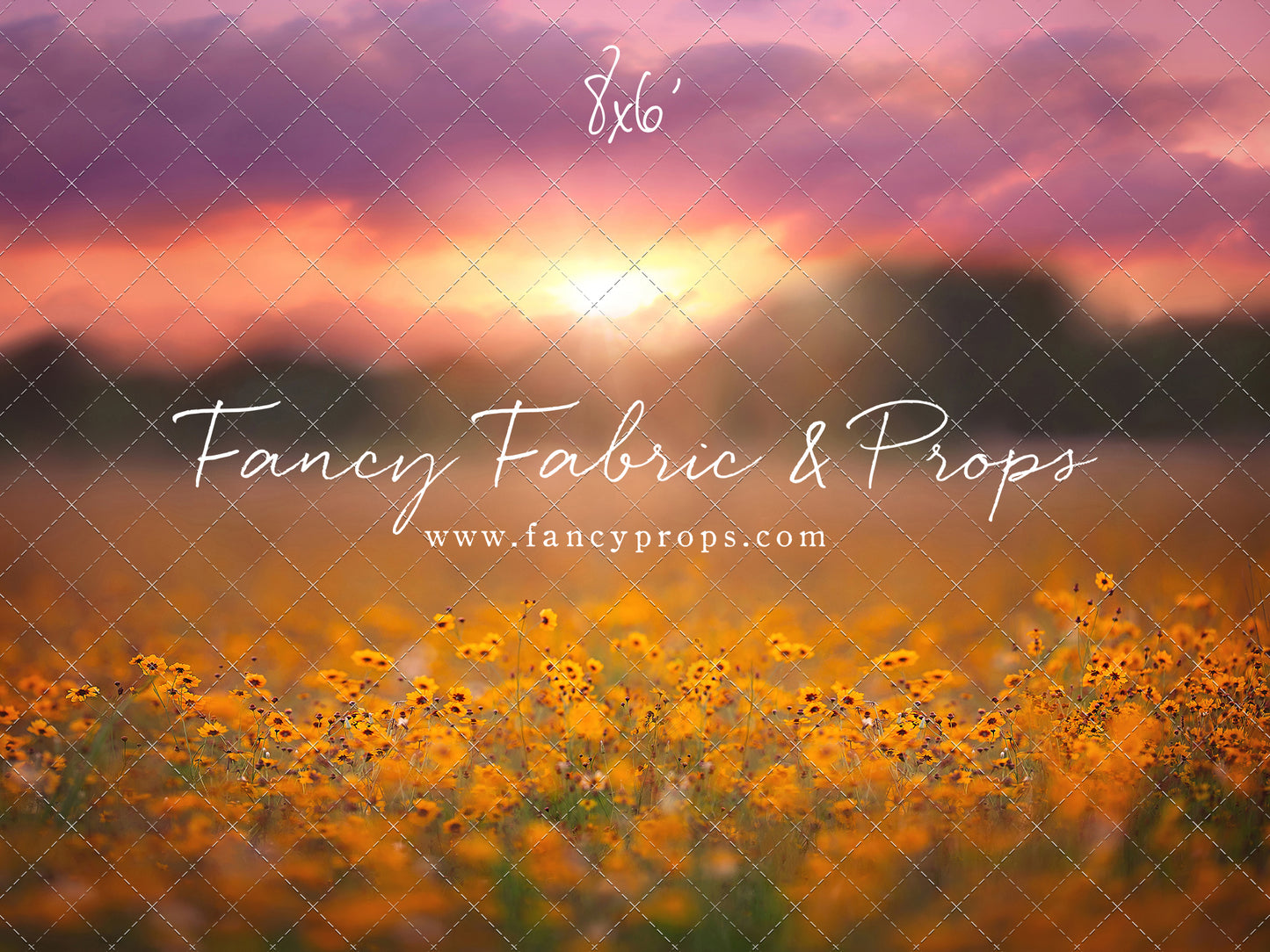 Golden Hour Wildflowers