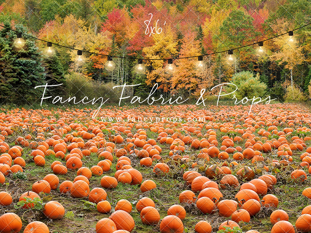 It's Pumpkin Pickin' Time