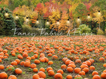 It's Pumpkin Pickin' Time