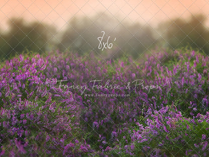 Love In Lavender