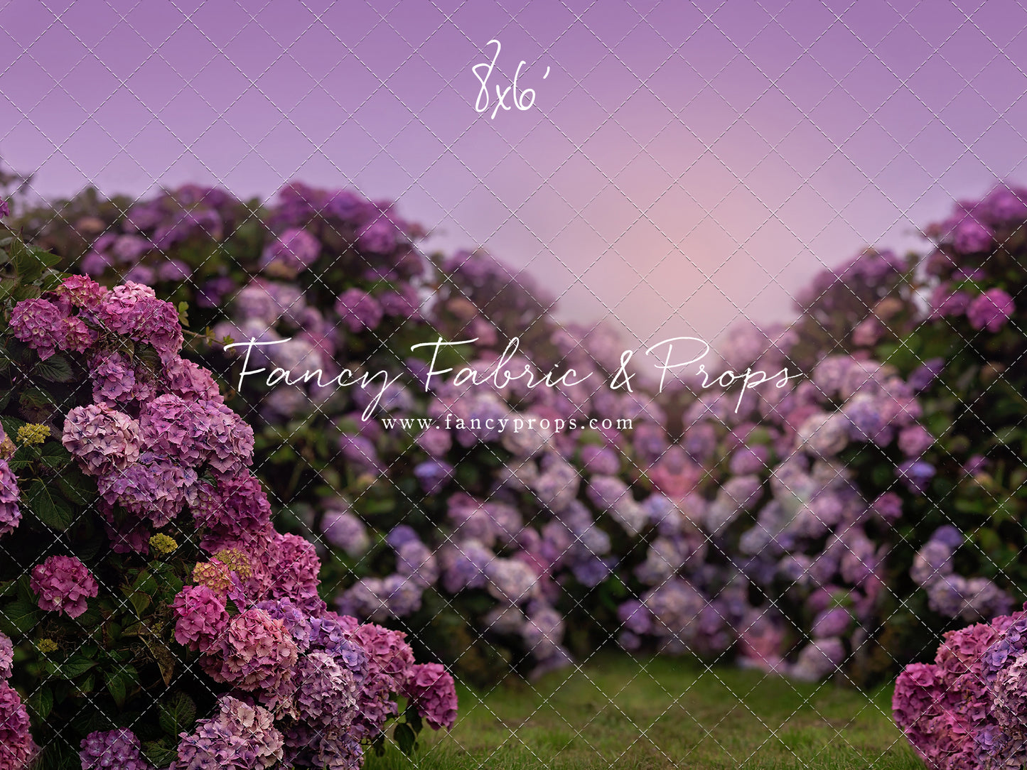 Purple Hydrangea Hollow