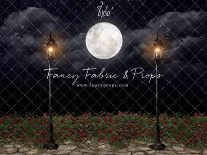 Romantic Moonlit Stroll