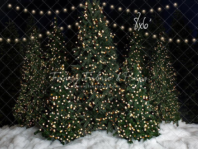 Snowy Christmas At The Barn 2pc Mini Room