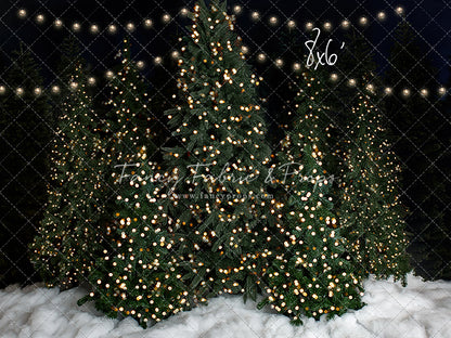 Snowy Christmas At The Barn 2pc Mini Room