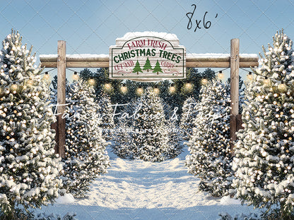 Winter Tree Farm Day Mini Room