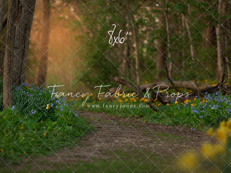 Spring Bluebell Path