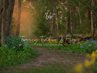 Spring Bluebell Path