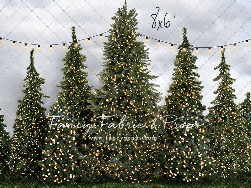 Tree Farm Traditions