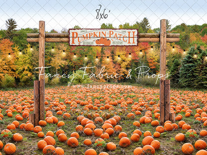 Welcome To The Pumpkin Patch