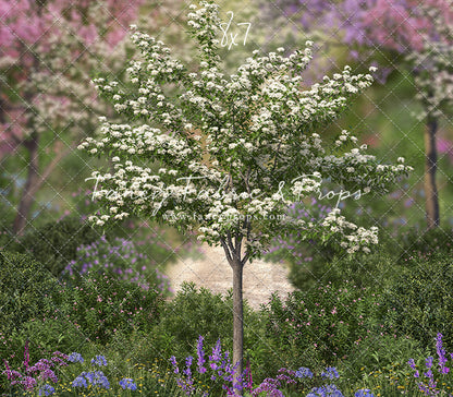 Dreamy Spring Path Room