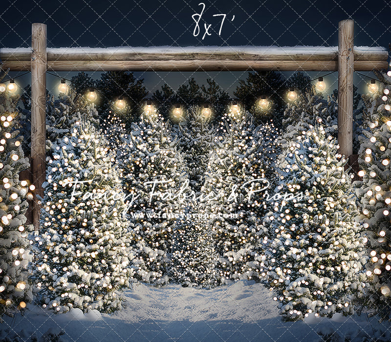 Evening Winter Tree Farm