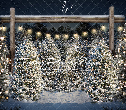 Evening Winter Tree Farm