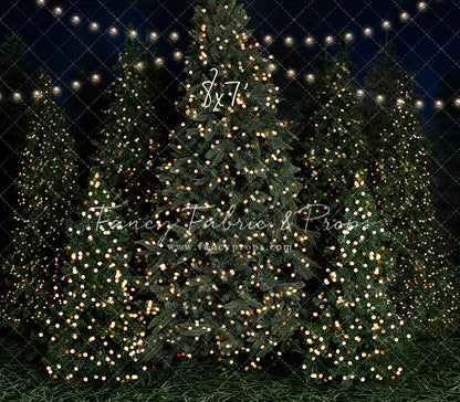 Evening At The Tree Farm