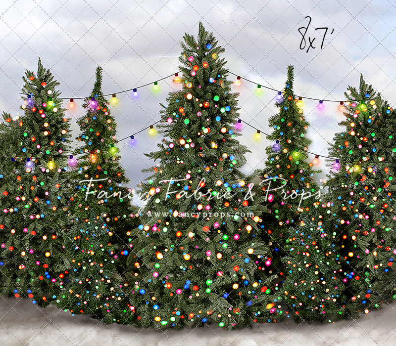 Festive Tree Farm