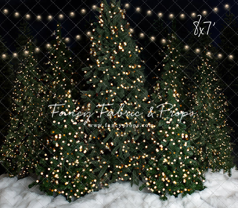 Snowy Evening At The Tree Farm