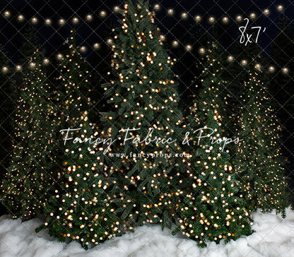 Snowy Evening At The Tree Farm