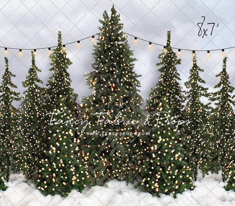 Snowy Tree Farm Open Daily 2pc Room