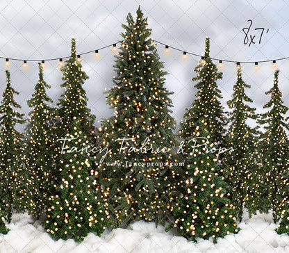 Snowy Tree Farm Open Daily 2pc Room