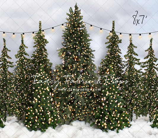 Snowy Tree Farm Traditions