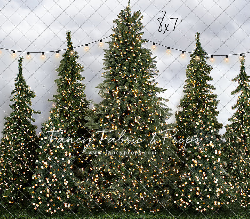 Tree Farm Traditions