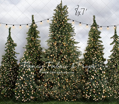 Tree Farm Traditions