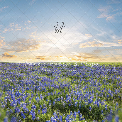 Blue Bonnet Afternoon