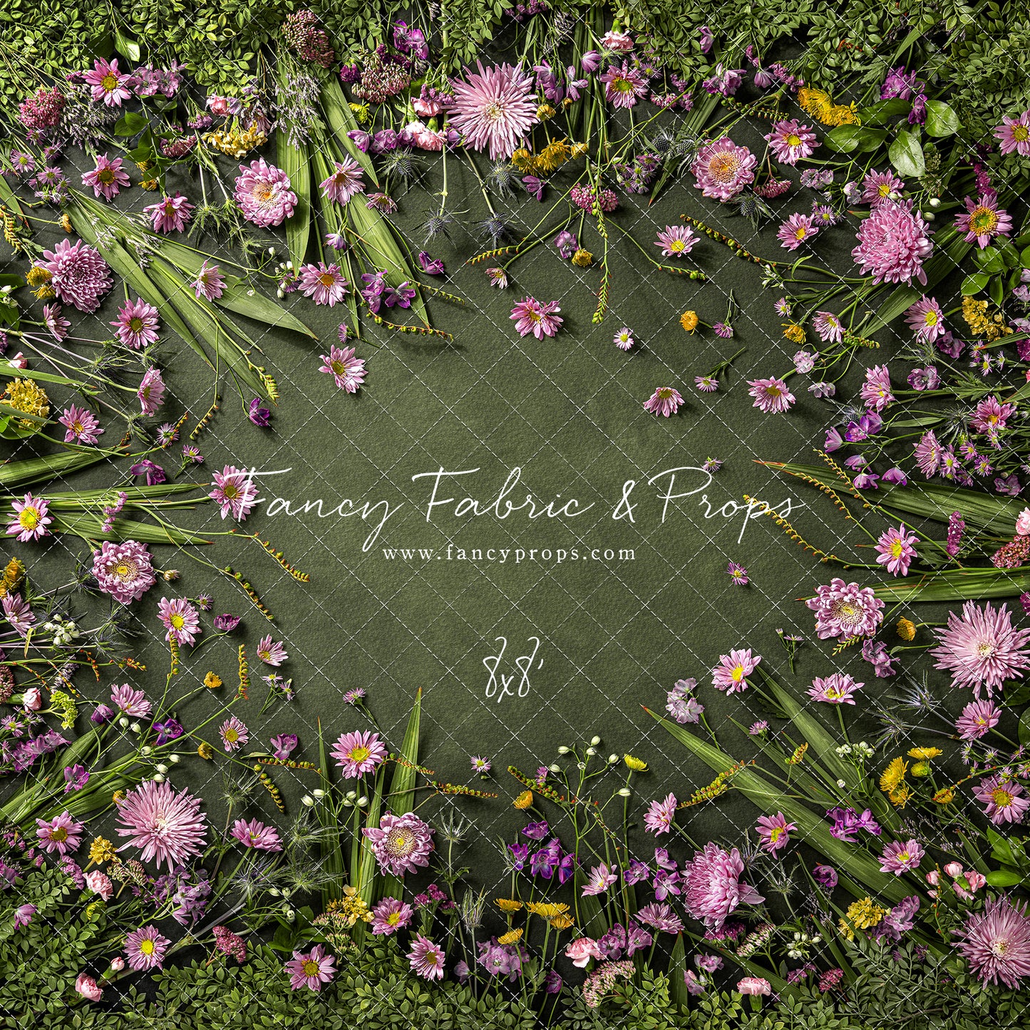 Chrysanthemum Blooms