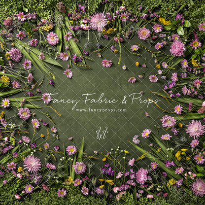 Chrysanthemum Blooms