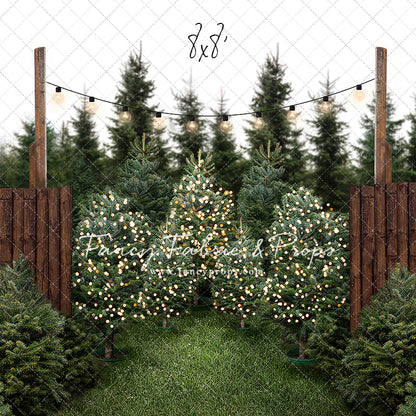 Cut & Carry Tree Farm