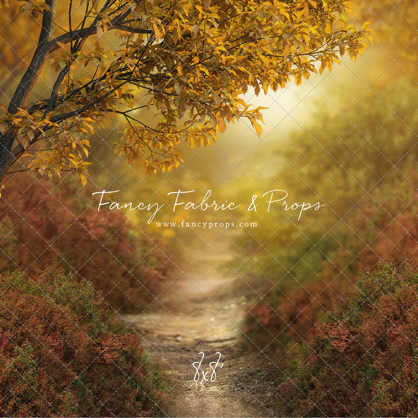 Dreamy Evening Path - With Sweep Option